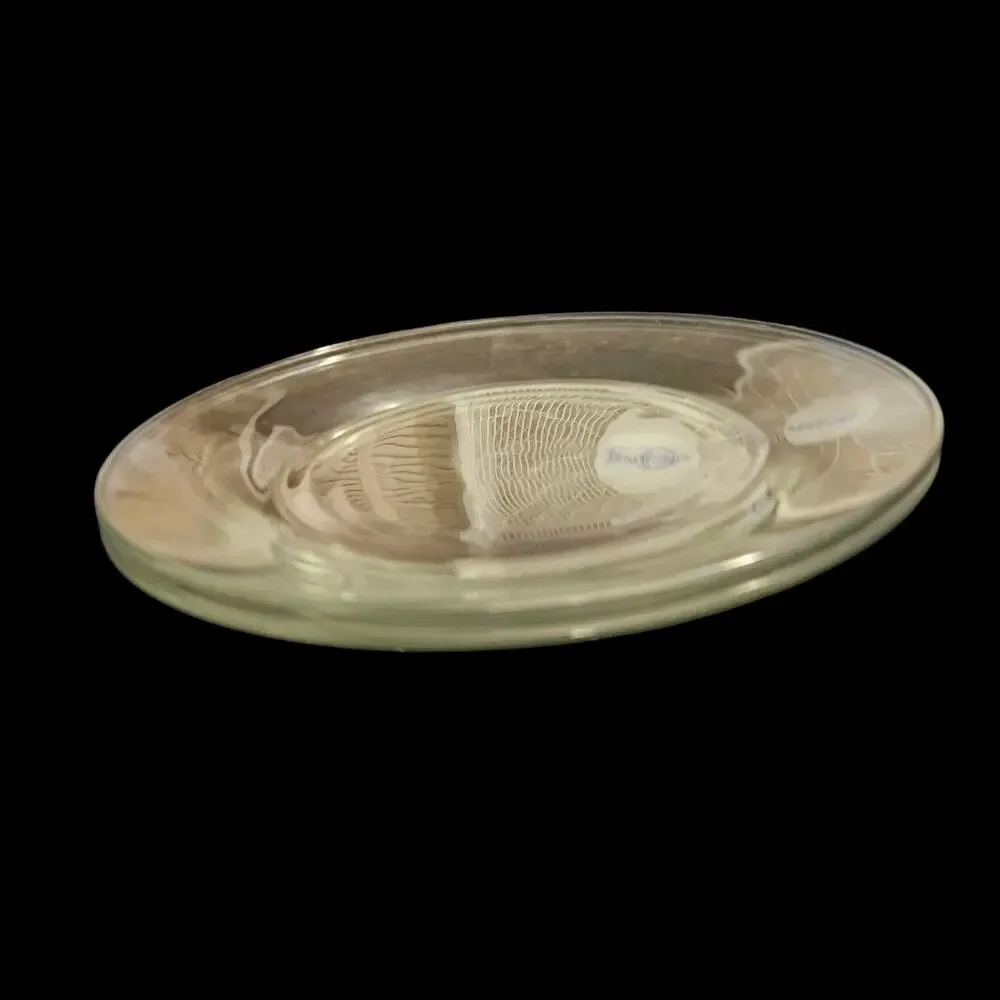 Vintage Clear Glass Dinner Plates Set of 2 Textured Center 10.25